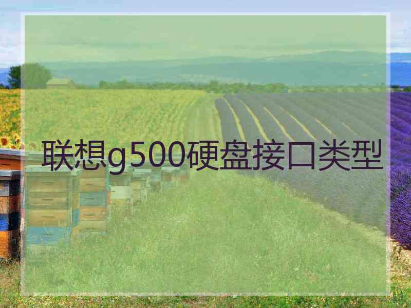 联想g500硬盘接口类型