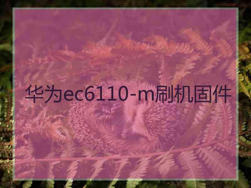 华为ec6110-m刷机固件