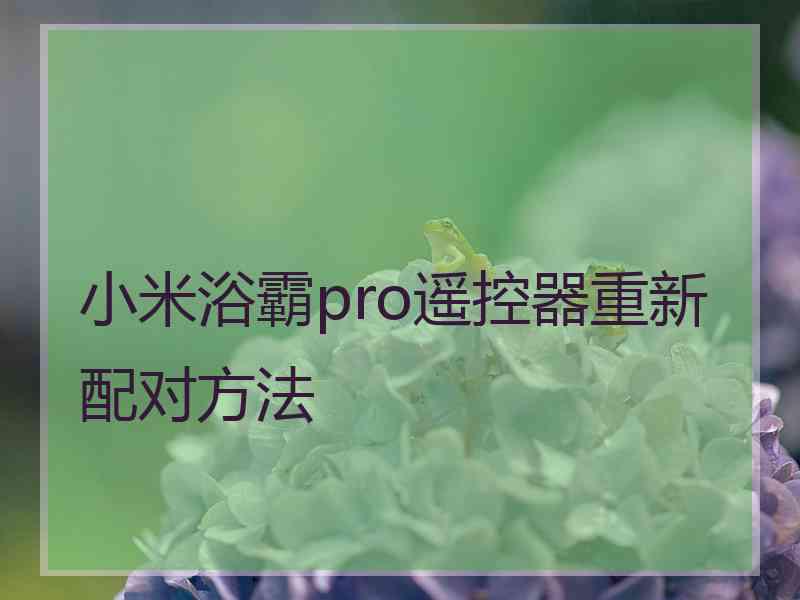 小米浴霸pro遥控器重新配对方法