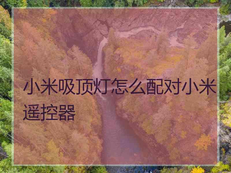 小米吸顶灯怎么配对小米遥控器