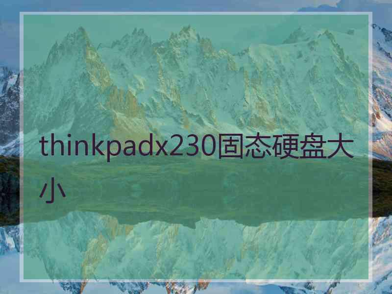 thinkpadx230固态硬盘大小