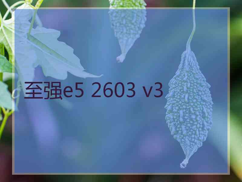 至强e5 2603 v3