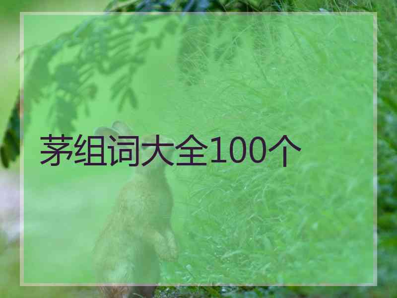 茅组词大全100个