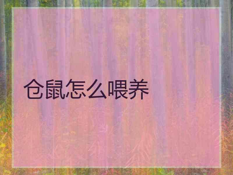 仓鼠怎么喂养