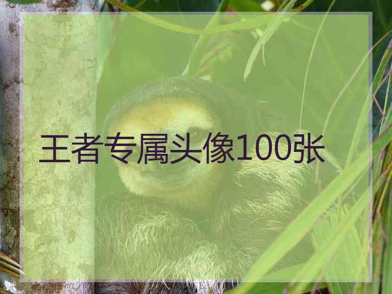 王者专属头像100张