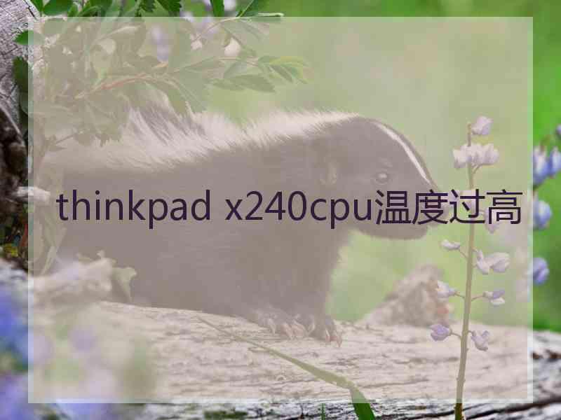 thinkpad x240cpu温度过高