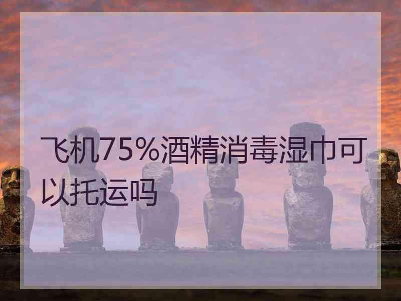 飞机75%酒精消毒湿巾可以托运吗