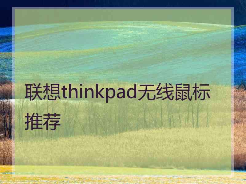 联想thinkpad无线鼠标推荐