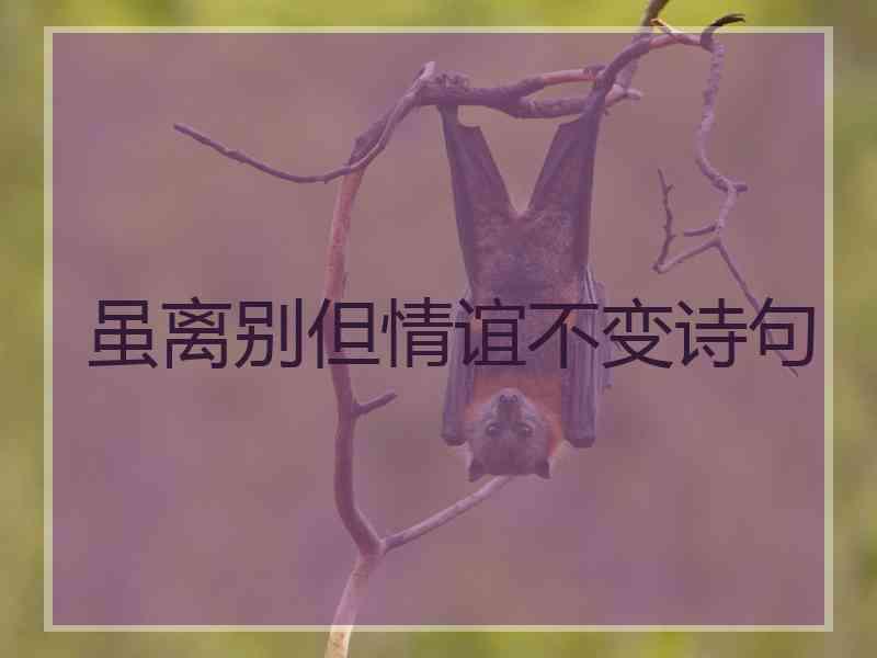 虽离别但情谊不变诗句