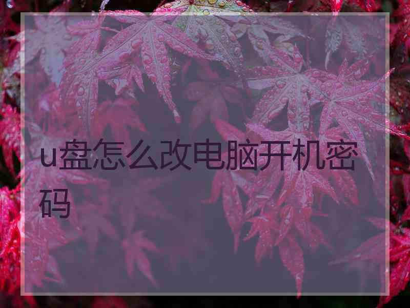 u盘怎么改电脑开机密码