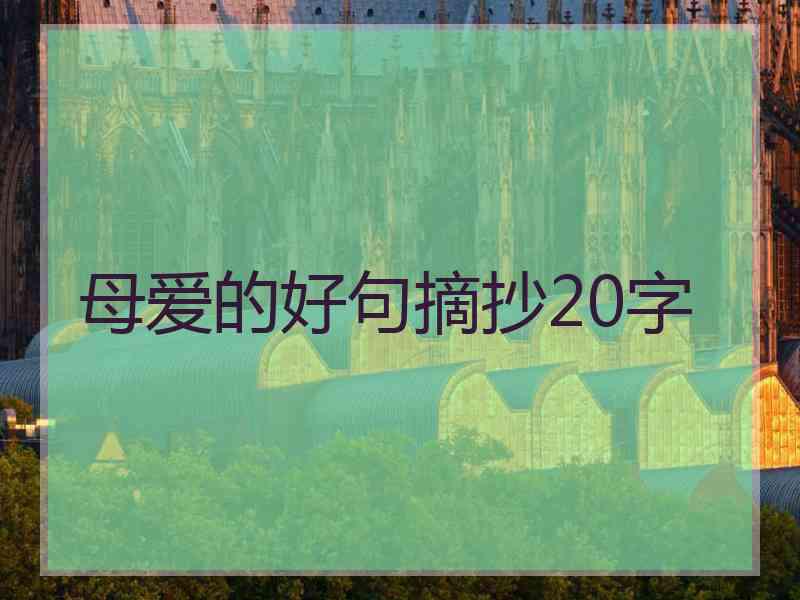 母爱的好句摘抄20字