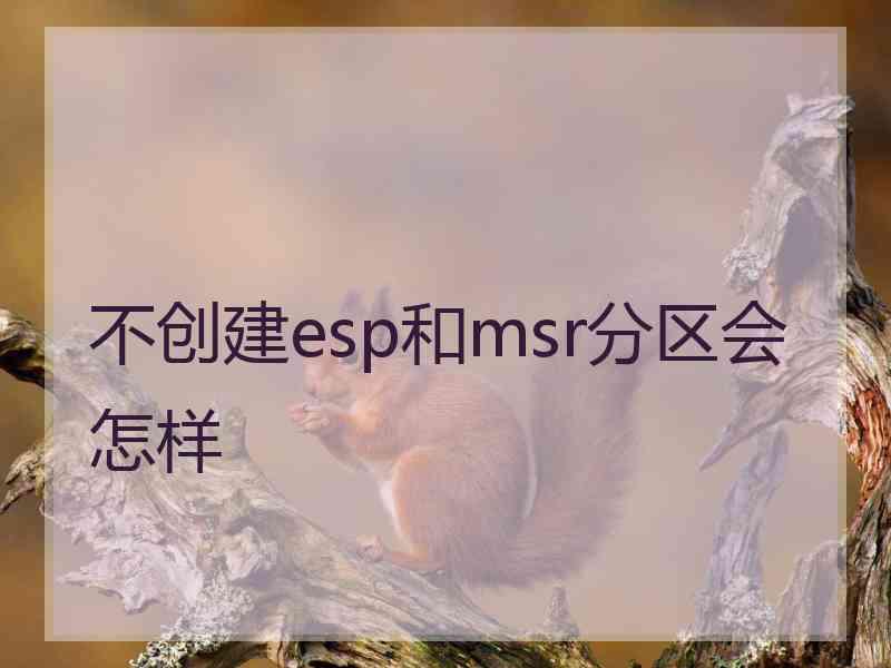 不创建esp和msr分区会怎样