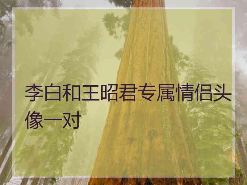 李白和王昭君专属情侣头像一对