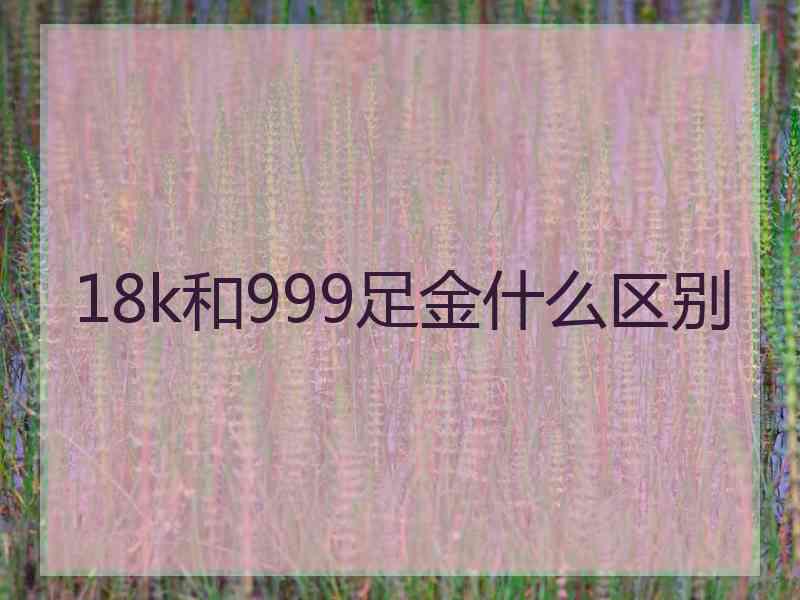 18k和999足金什么区别