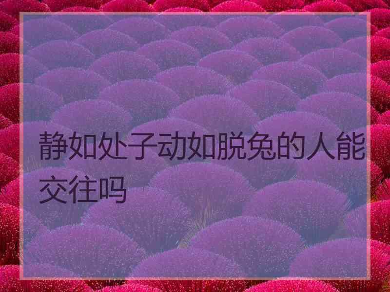 静如处子动如脱兔的人能交往吗