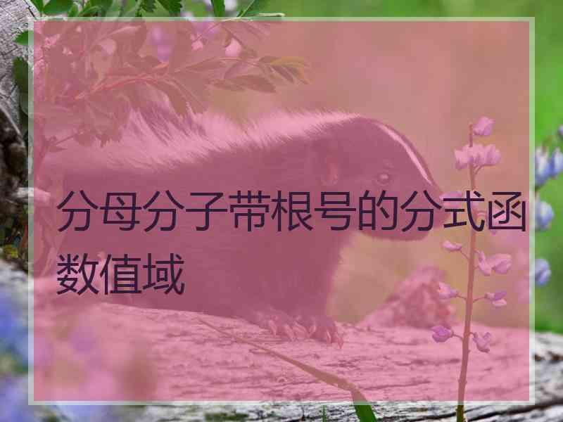 分母分子带根号的分式函数值域