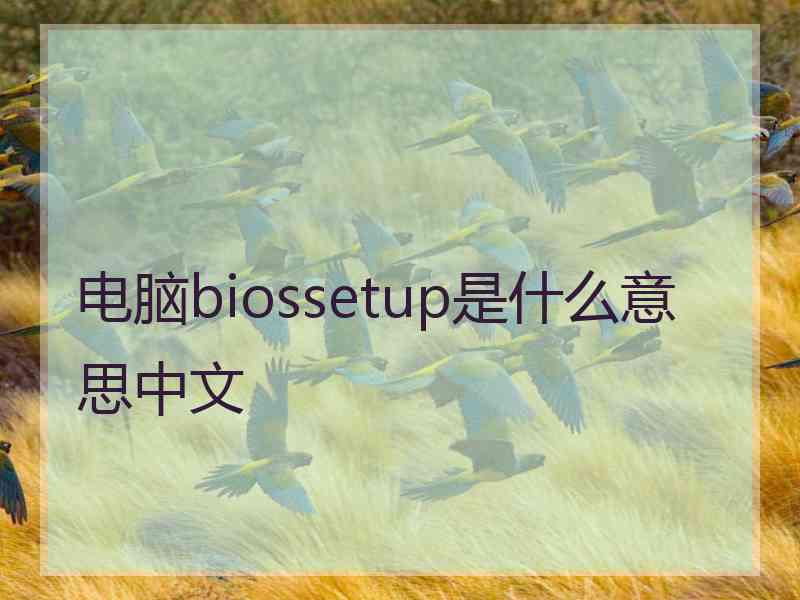 电脑biossetup是什么意思中文