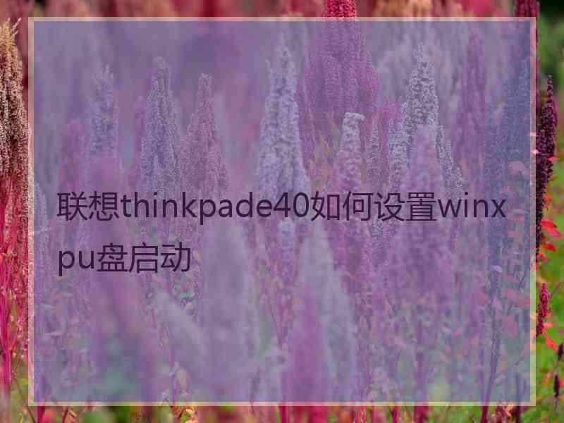 联想thinkpade40如何设置winxpu盘启动