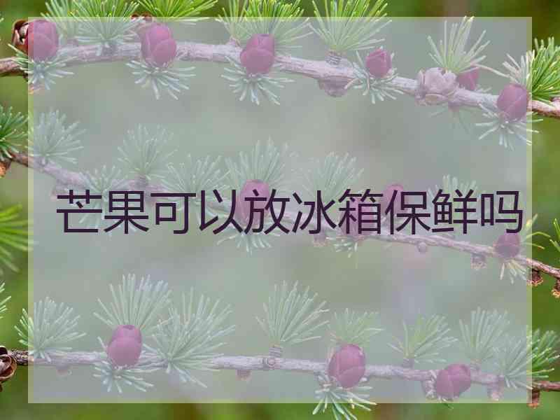 芒果可以放冰箱保鲜吗