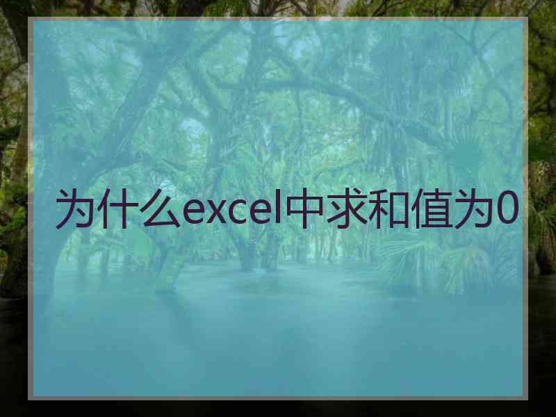 为什么excel中求和值为0