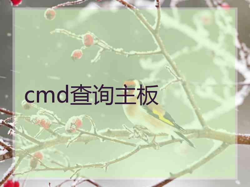 cmd查询主板