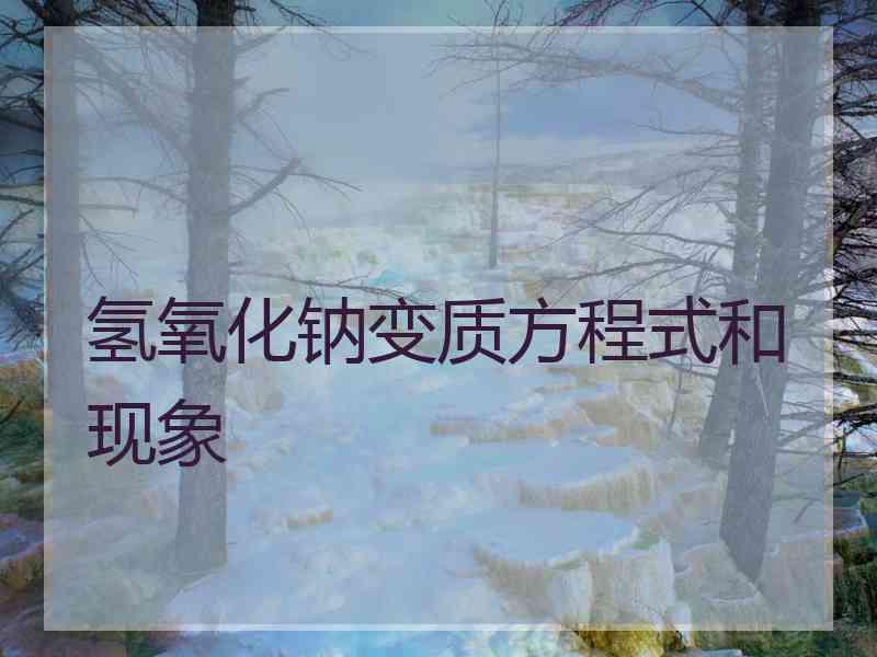 氢氧化钠变质方程式和现象