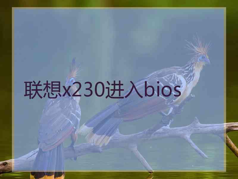 联想x230进入bios