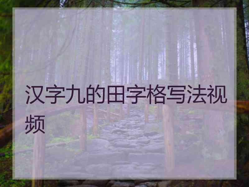 汉字九的田字格写法视频