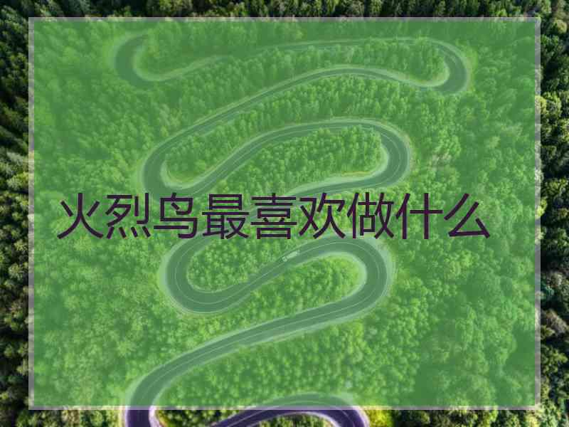 火烈鸟最喜欢做什么