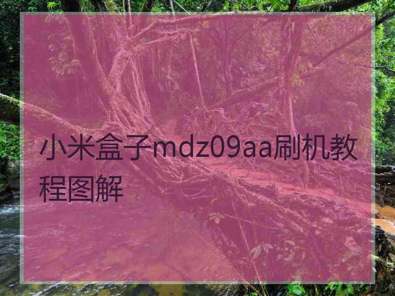 小米盒子mdz09aa刷机教程图解