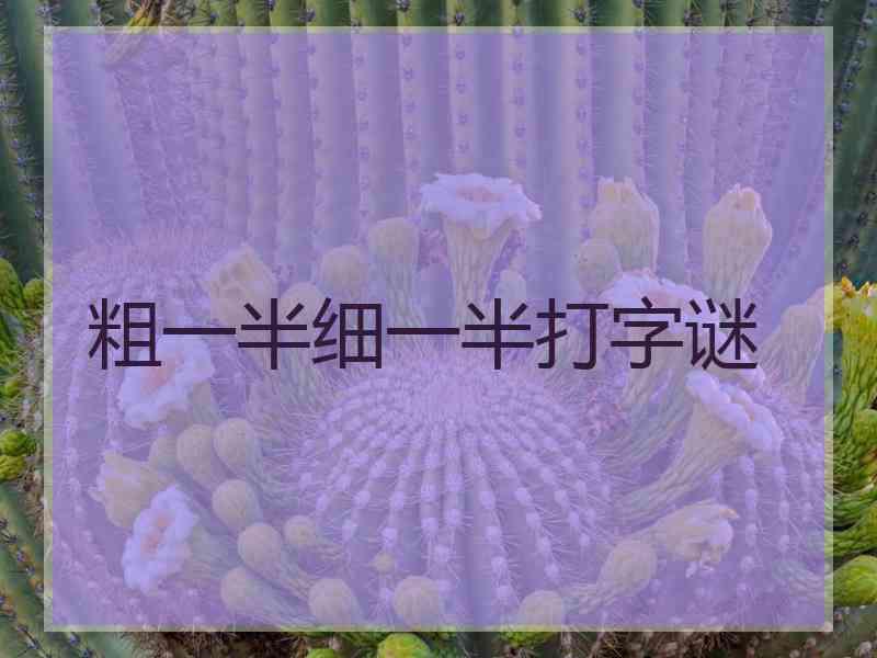 粗一半细一半打字谜