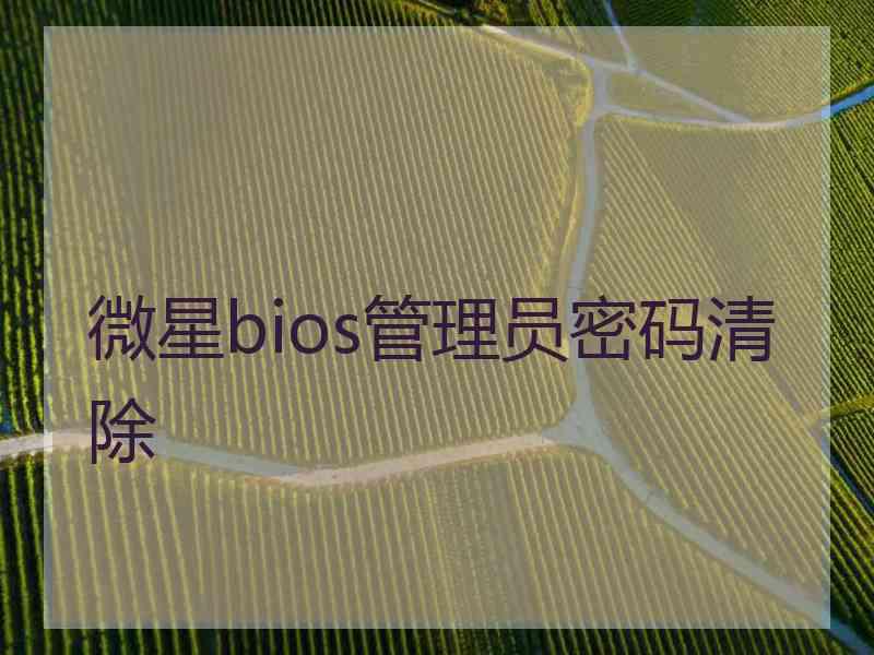 微星bios管理员密码清除