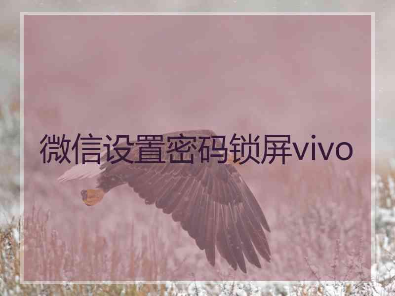 微信设置密码锁屏vivo