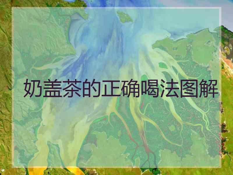 奶盖茶的正确喝法图解