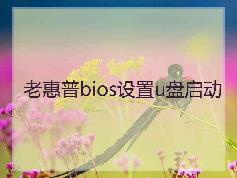 老惠普bios设置u盘启动