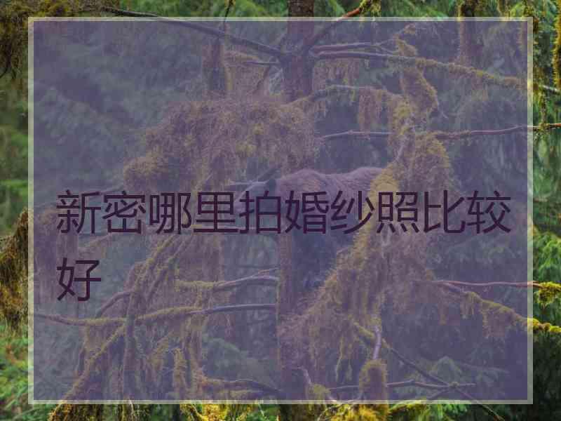 新密哪里拍婚纱照比较好