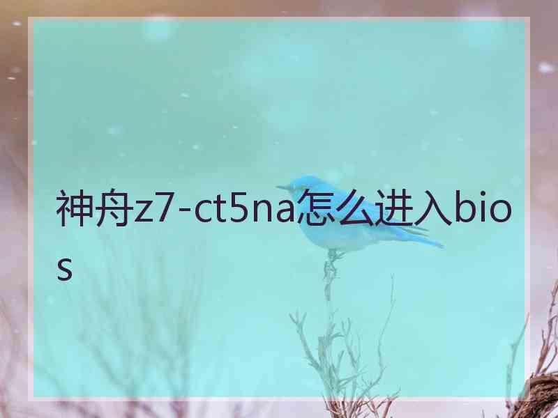 神舟z7-ct5na怎么进入bios