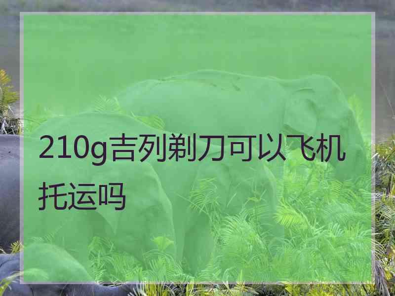 210g吉列剃刀可以飞机托运吗