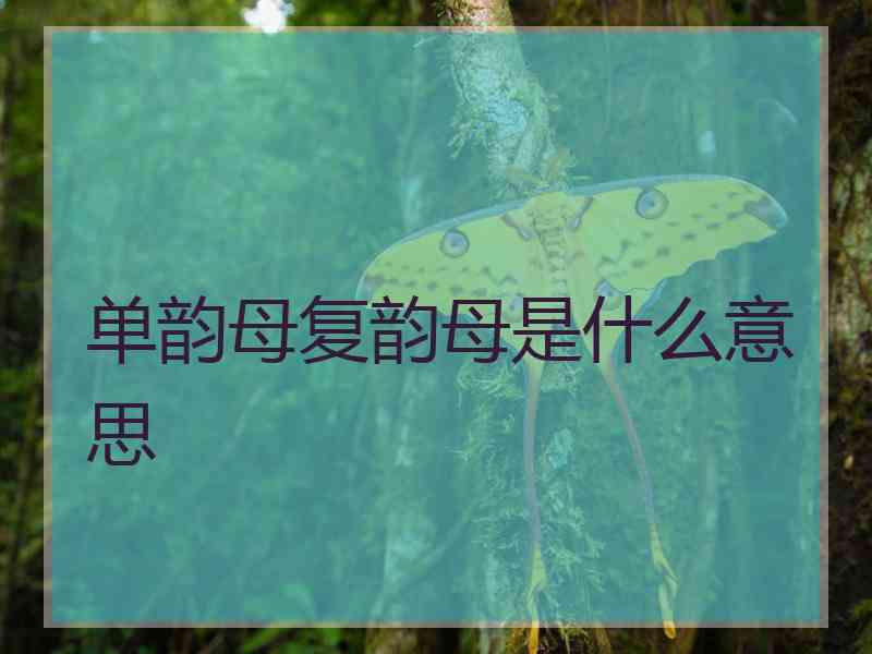 单韵母复韵母是什么意思