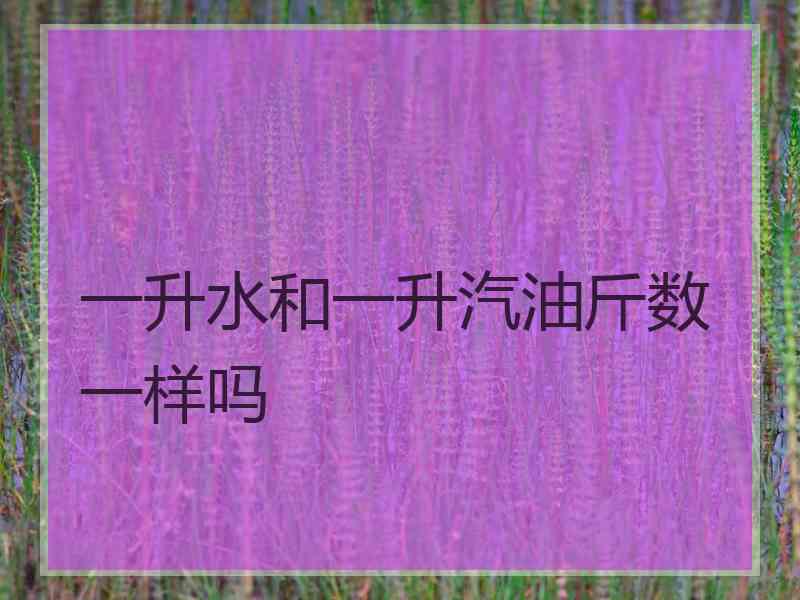 一升水和一升汽油斤数一样吗