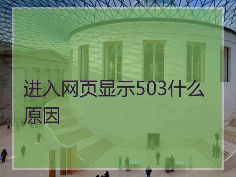 进入网页显示503什么原因