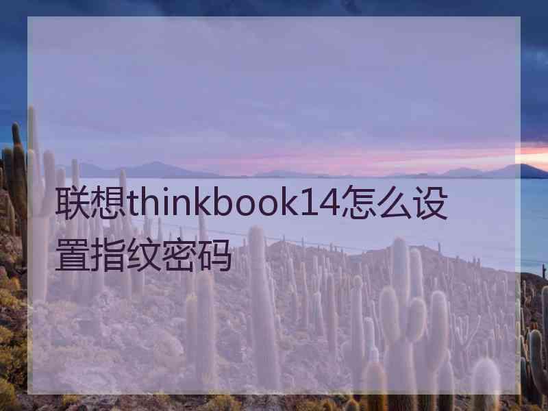 联想thinkbook14怎么设置指纹密码