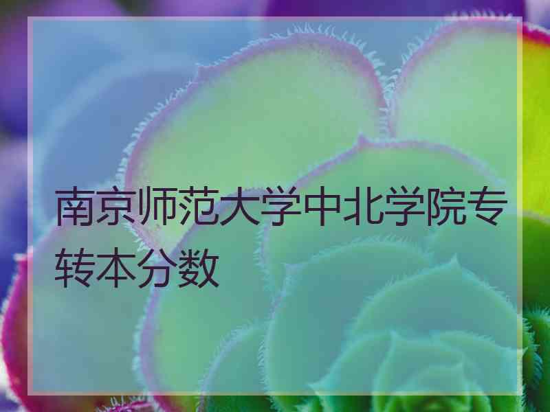 南京师范大学中北学院专转本分数