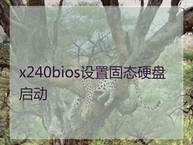 x240bios设置固态硬盘启动