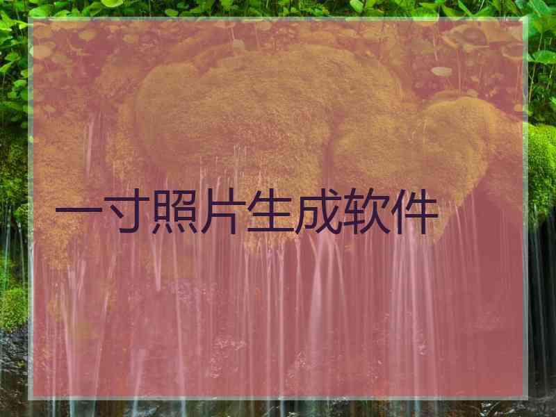 一寸照片生成软件