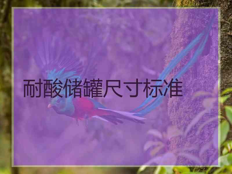 耐酸储罐尺寸标准