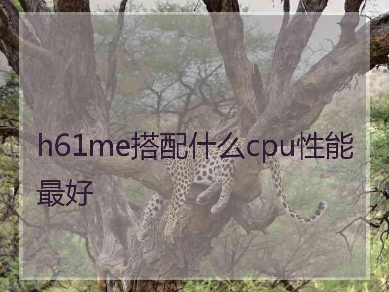 h61me搭配什么cpu性能最好