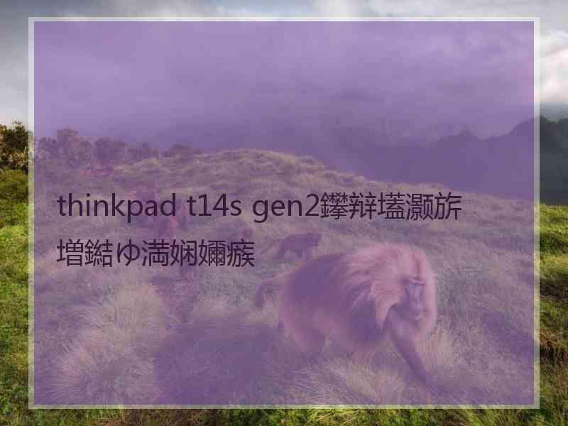 thinkpad t14s gen2鑻辩壒灏旂増鐑ゆ満娴嬭瘯