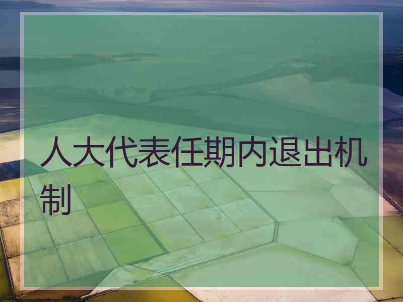 人大代表任期内退出机制