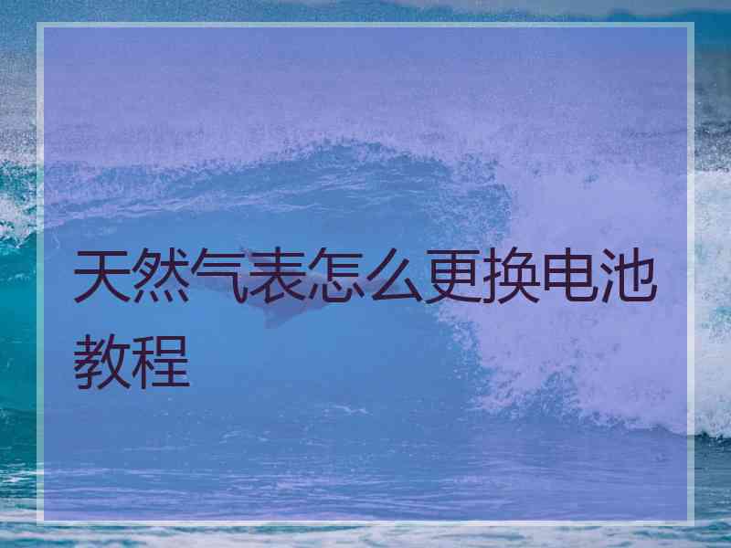 天然气表怎么更换电池教程